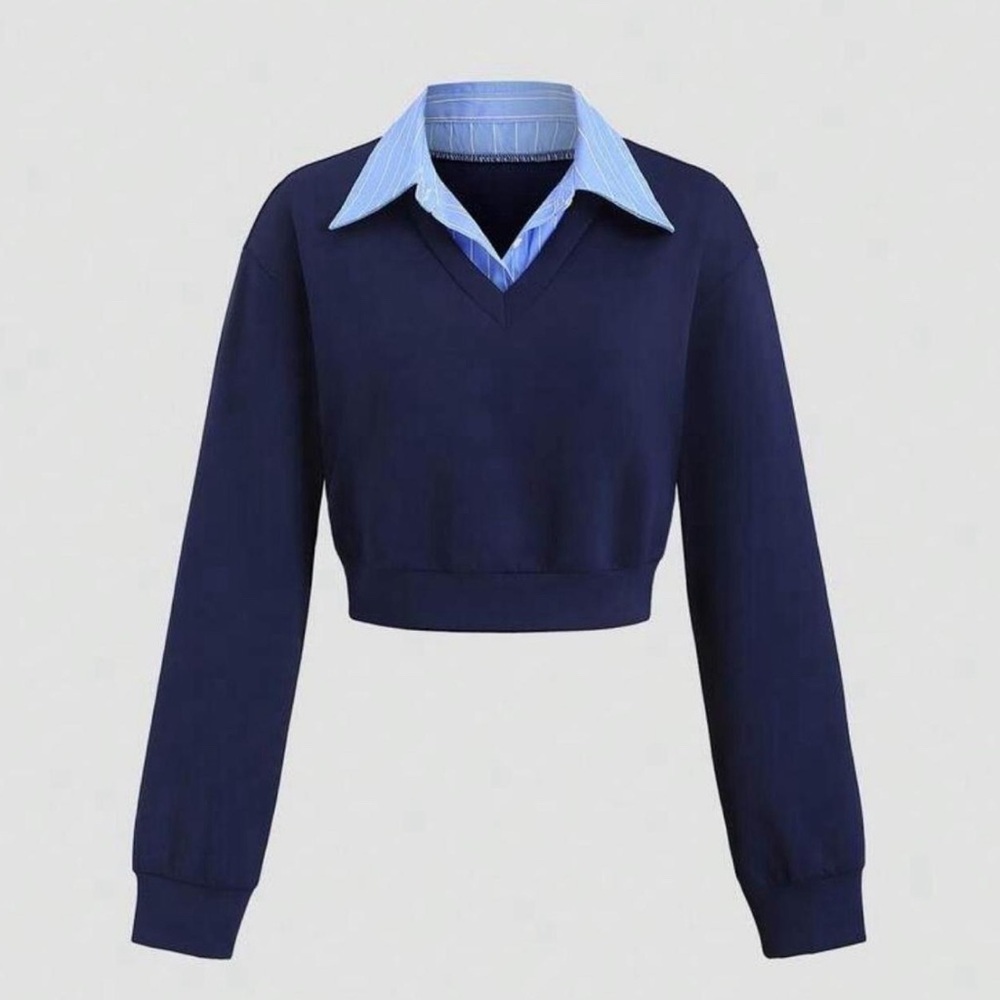 SHEIN Deep Blue V-Neck Sweater